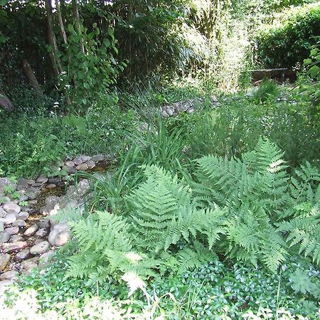 B&B 'T Nije Huus Schoonoord Zewnętrze zdjęcie