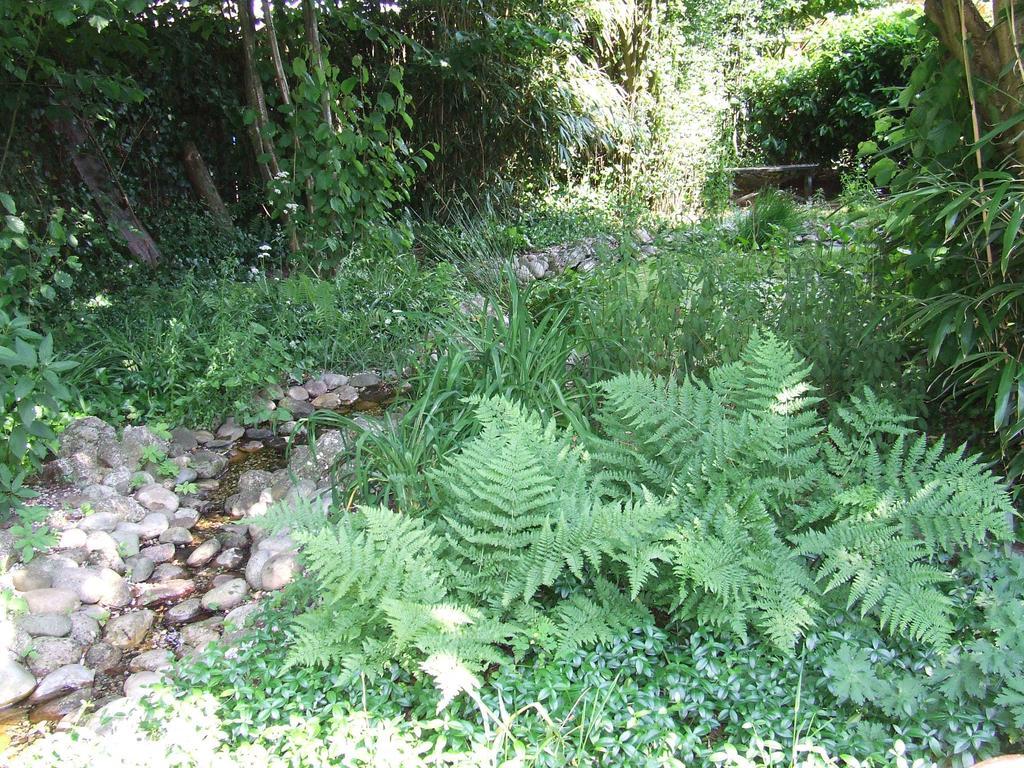 B&B 'T Nije Huus Schoonoord Zewnętrze zdjęcie